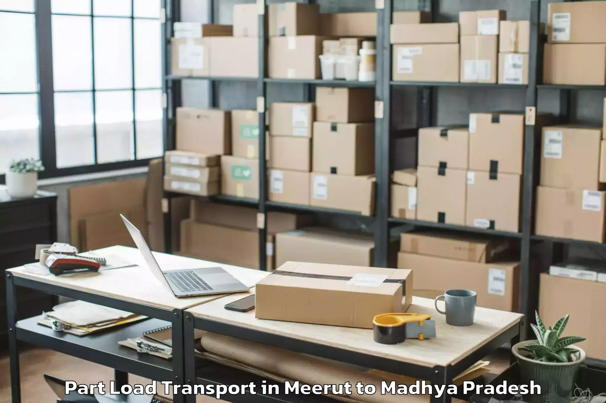 Expert Meerut to Pipariya Part Load Transport